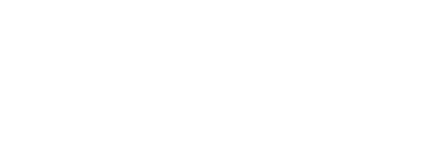 Zelor Studio