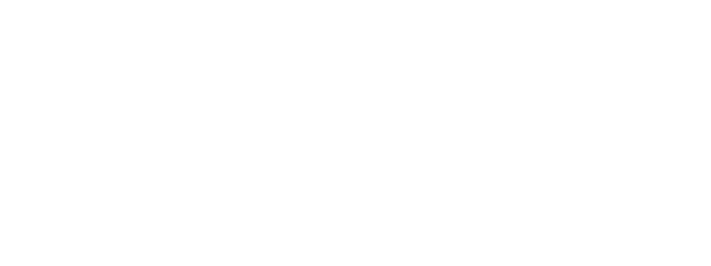 DataSleek