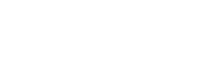 Xlides